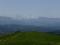 P1040042_stitch (Medium)